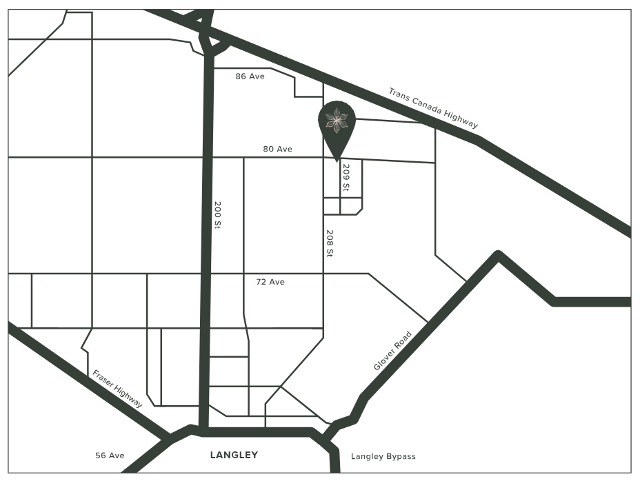 Luxia At Yorkson New Langley Townhomes Skytrain Condo Living 5498